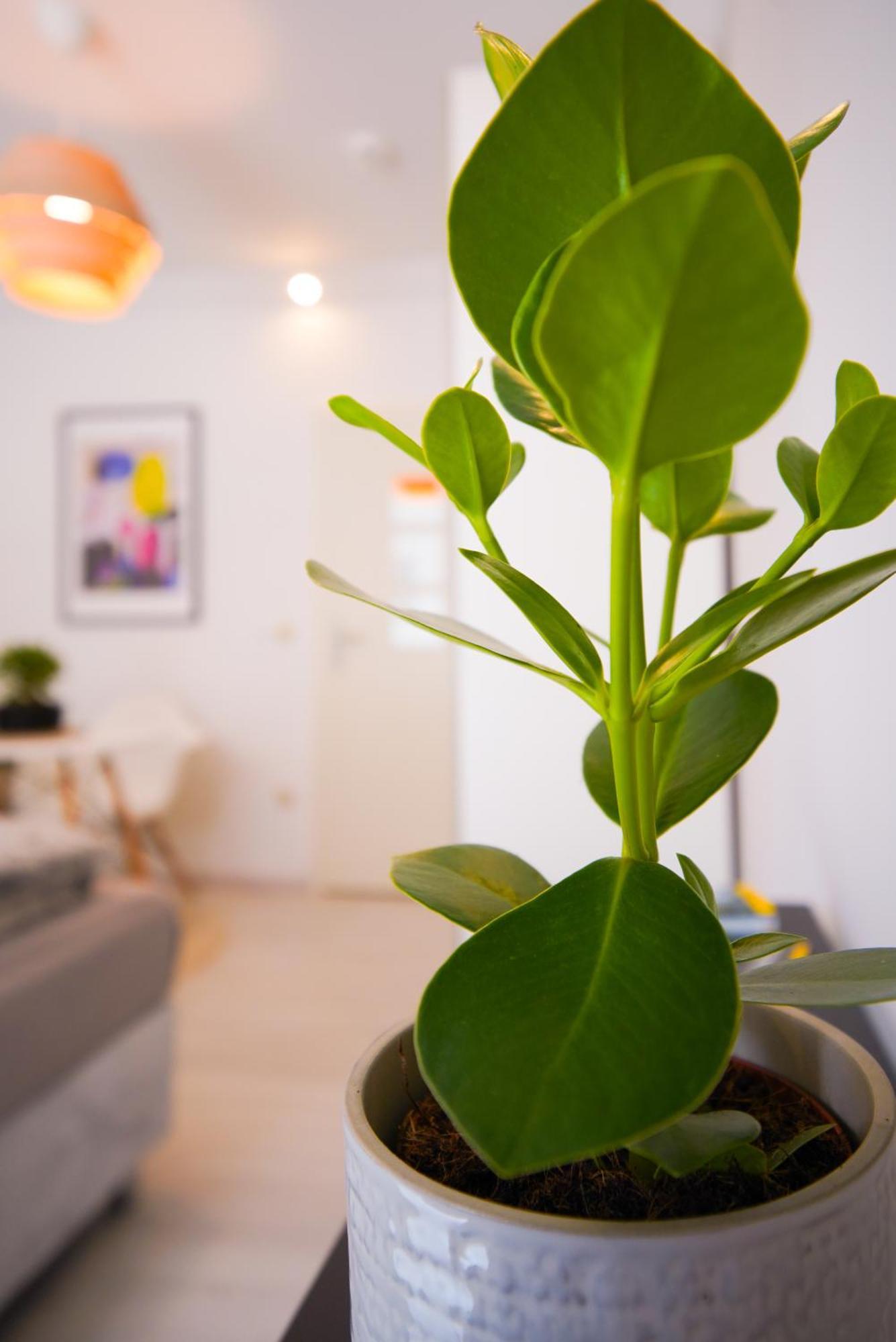 Stilvolles Apartment Im Laessigsten Viertel Monaco di Baviera Esterno foto